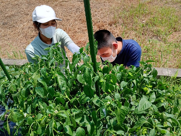 さて今週は1029・・・ているより 画像