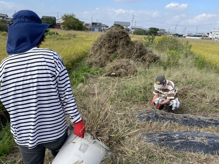 さて今週は1050・・・ているより 画像
