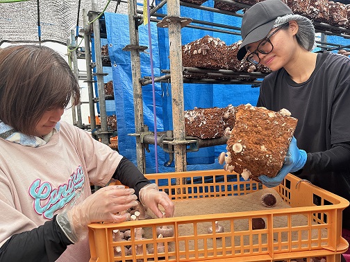 さて今週は1047・・・Flap&ジョイネットより 画像