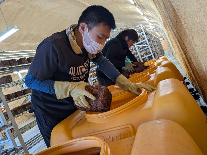 さて今週は1072・・・Flap&ジョイネットより 画像