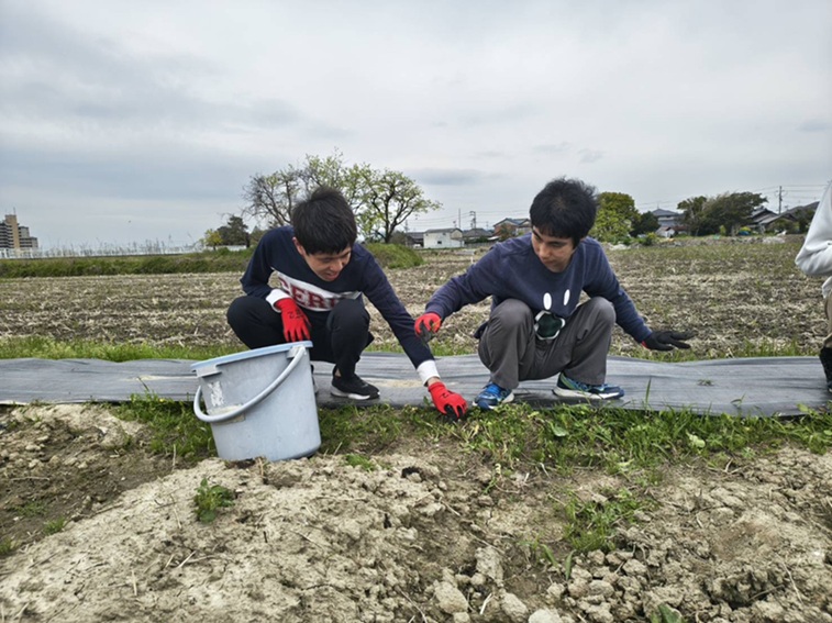 さて今週は1091・・・ているより 画像